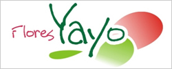 Flores Yayo